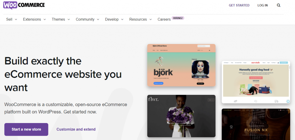 WooCommerce helps you build your online shopping website