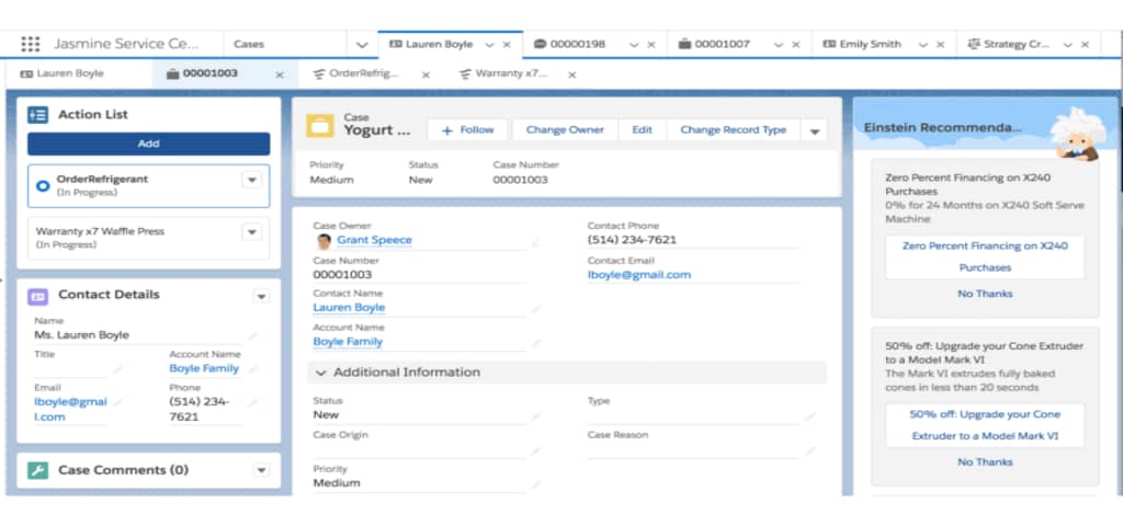 Salesforce Interface