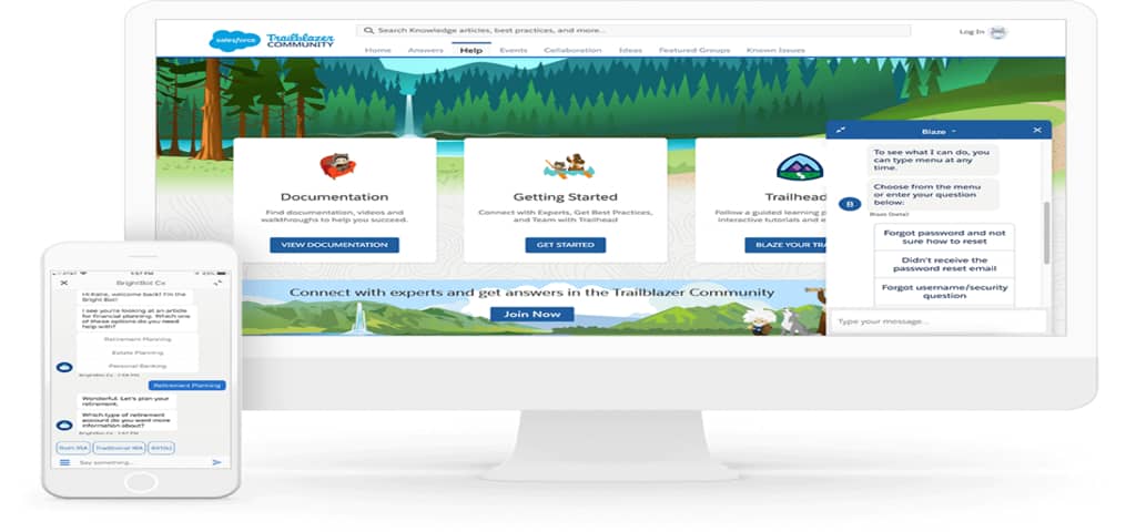 Salesforce live chat